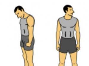 Упражнения для разминки Разминка для всех групп мышц